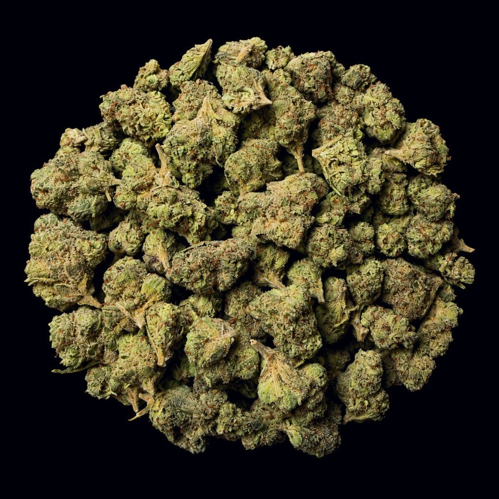 Double Runtz THCA Flower - Lost In Translation