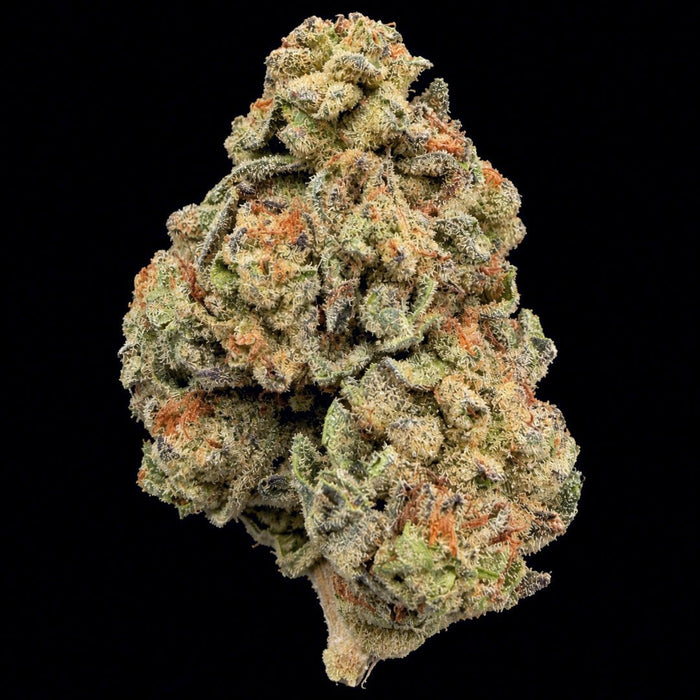 Double Runtz THCA Flower - Lost In Translation