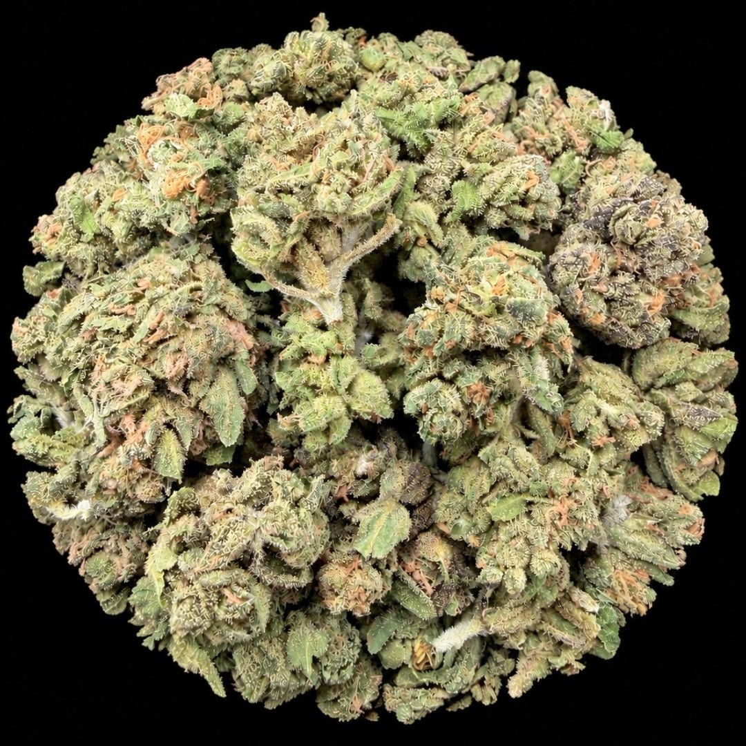 Double Runtz THCA Flower - Lost In Translation
