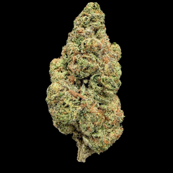 Dulce Cream THCA Flower - Lost In Translation