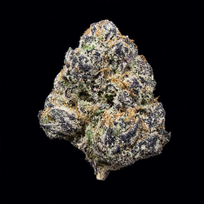 Blue Andies THCA Flower - Lost In Translation