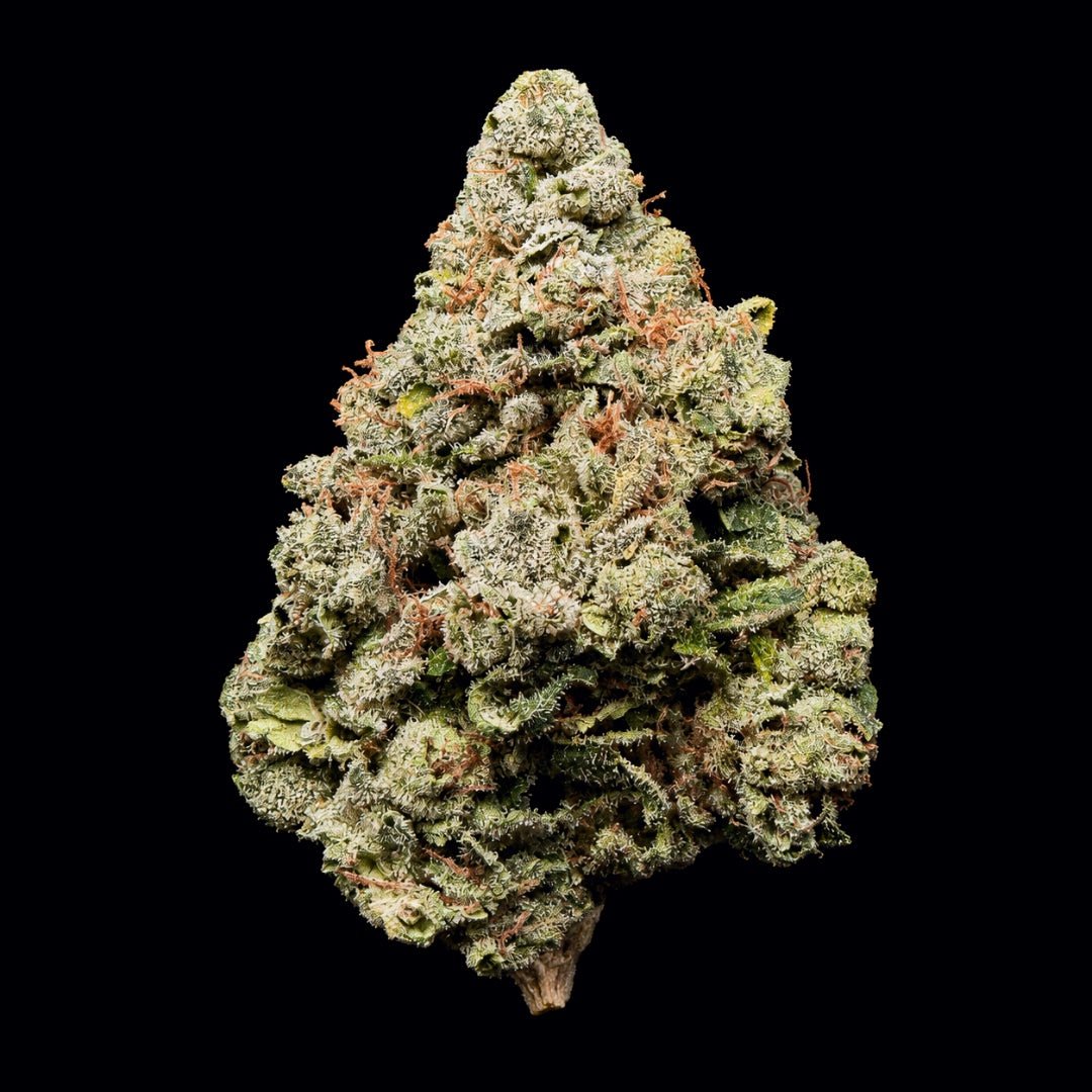 Double Runtz THCA Flower - Lost In Translation