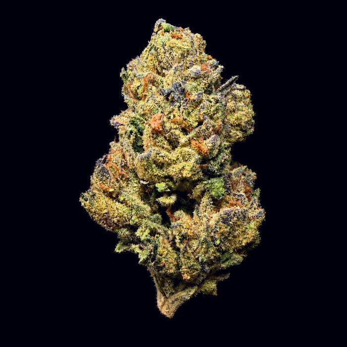 Thin Mint Cookies THCA Flower - Lost In Translation