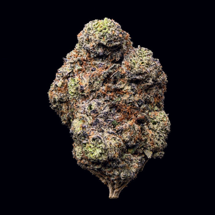 Purple Candy THCA Flower - Lost In Translation