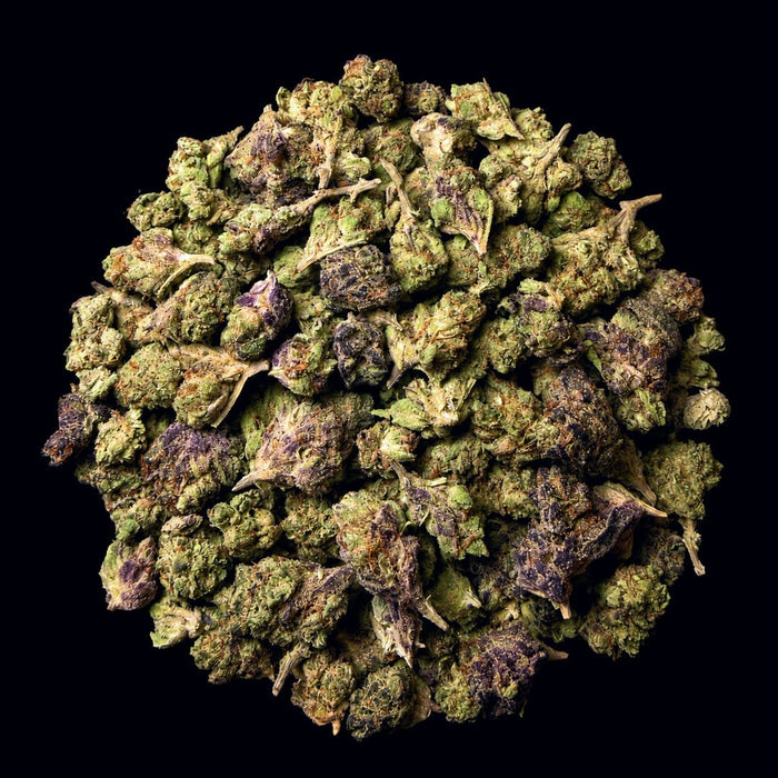 Fire OG THCA Flower - Lost In Translation