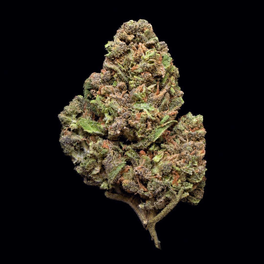 Purple Diamonds THCA Flower - Lost In Translation