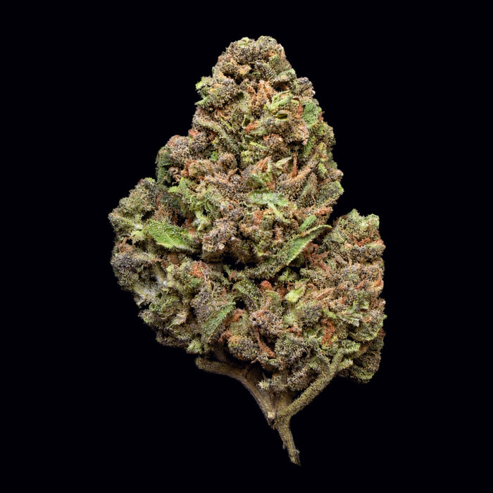 Purple Diamonds THCA Flower