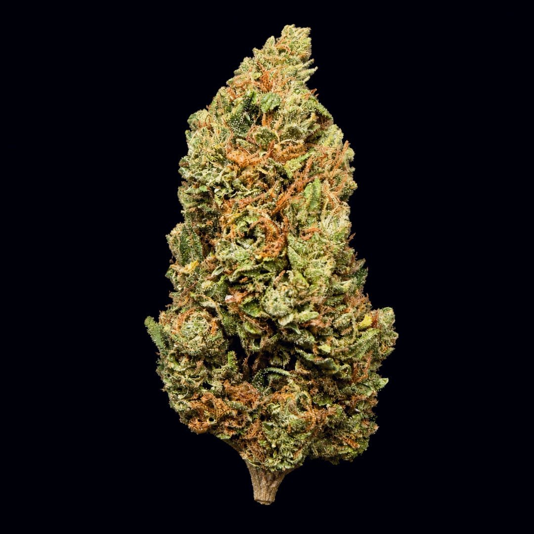 Strawberry OG THCA Flower - Lost In Translation
