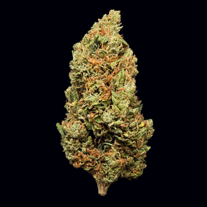 Strawberry OG THCA Flower - Lost In Translation