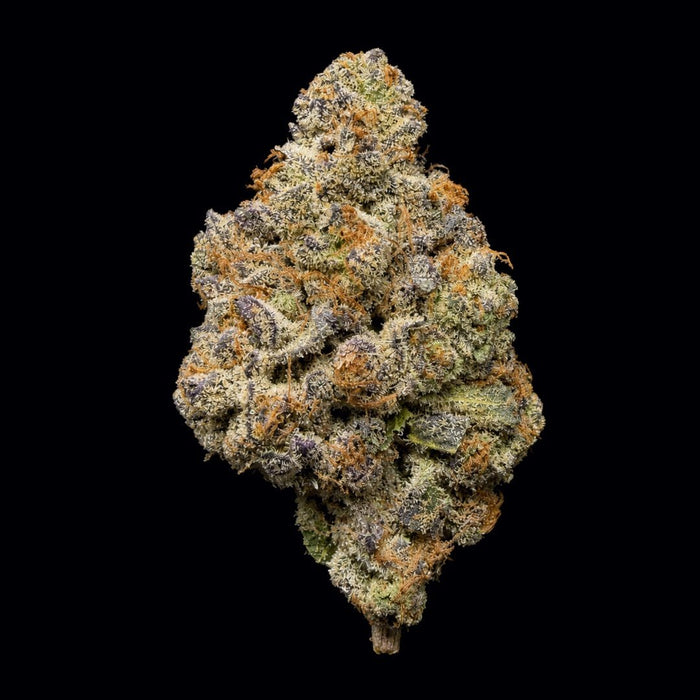 Bath Saltz THCA Flower - Lost In Translation