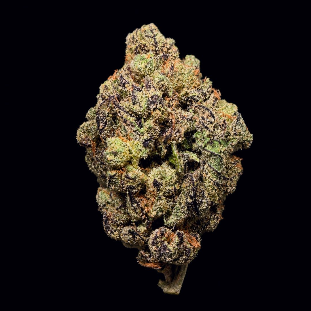 Zourz THCA Flower - Lost In Translation