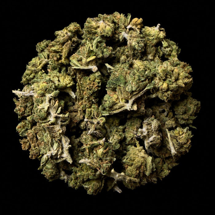 Lemon Cherry Belts THCA Flower - Lost In Translation