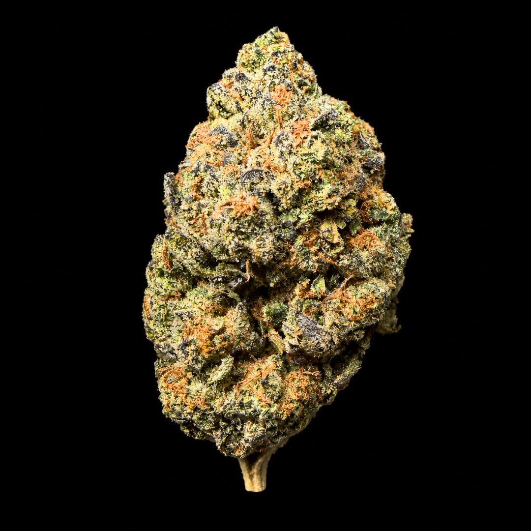 Sunset Sherb THCA Flower - Lost In Translation