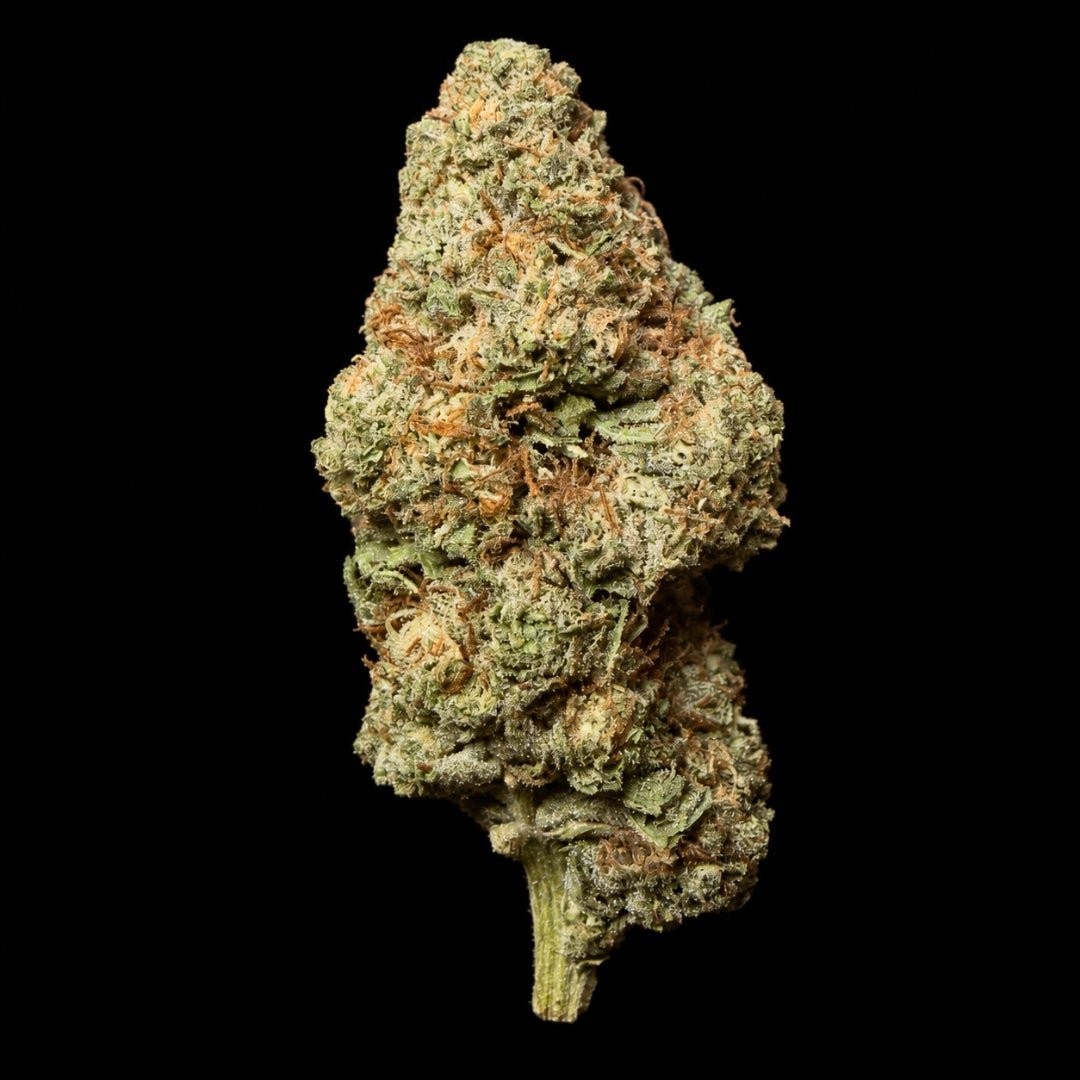 Rainbow Belts THCA Flower - Lost In Translation