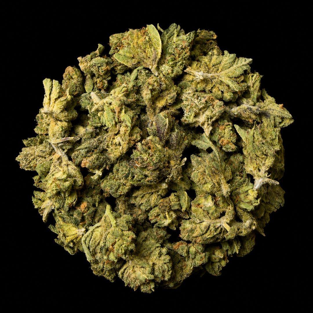 Don Murpho THCA Flower - Lost In Translation