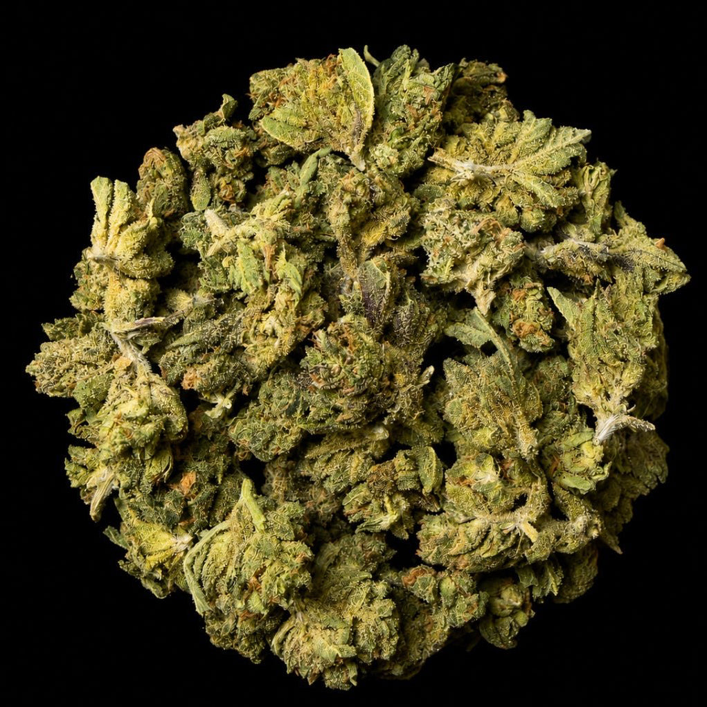 Don Murpho THCA Flower - Lost In Translation