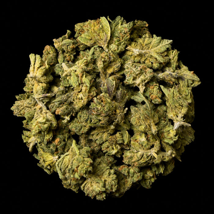 Don Murpho THCA Flower