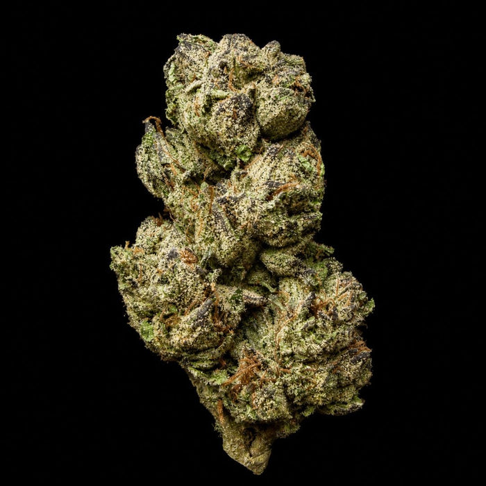 Karamel Kandy THCA Flower - Lost In Translation
