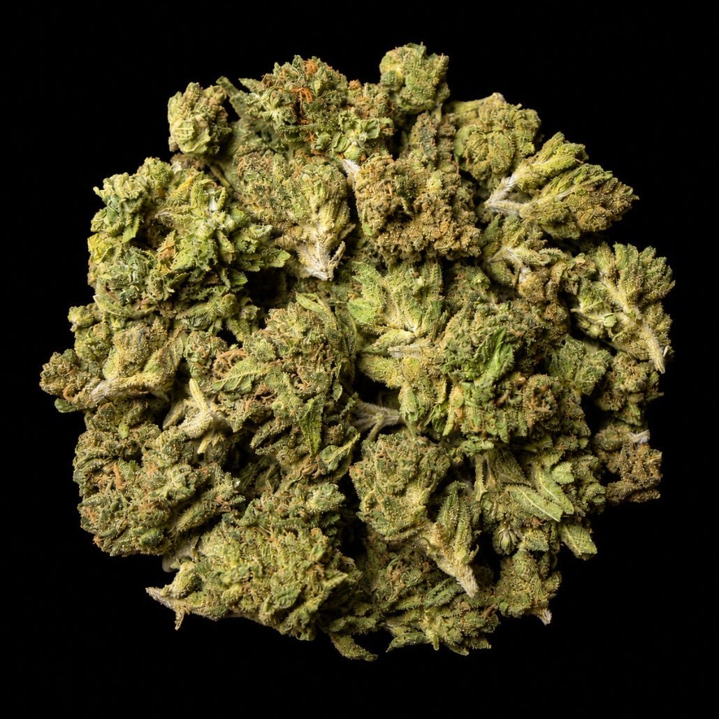 Frozen Lemonade THCA Flower - Lost In Translation