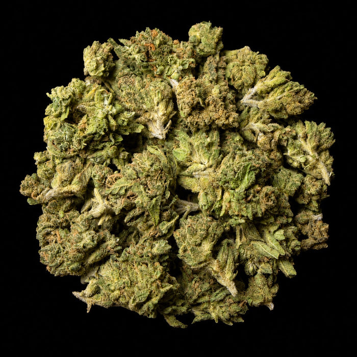 Frozen Lemonade THCA Flower