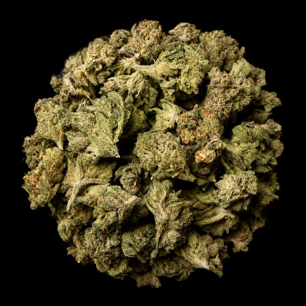 Melon Runtz THCA Flower - Lost In Translation