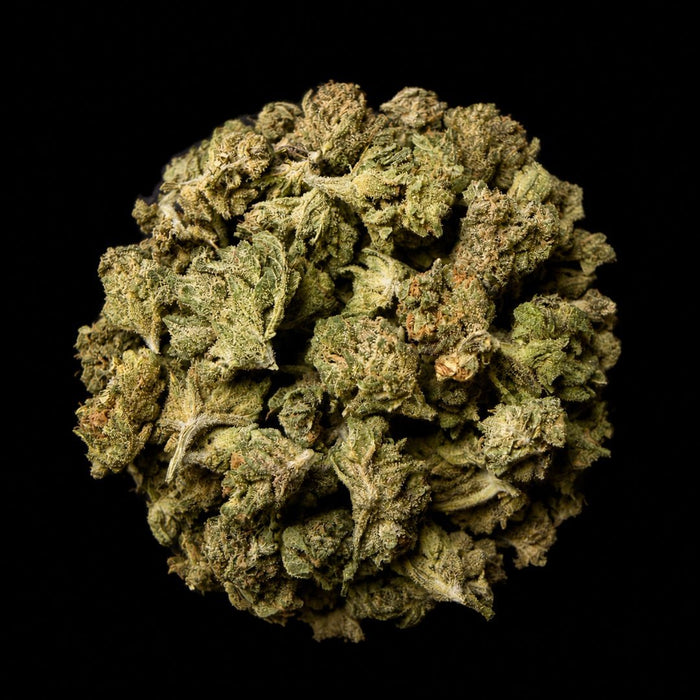 Melon Runtz THCA Flower - Lost In Translation