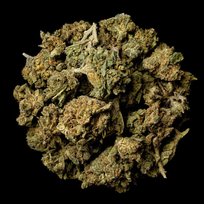 Lipsmackers THCA Flower - Lost In Translation