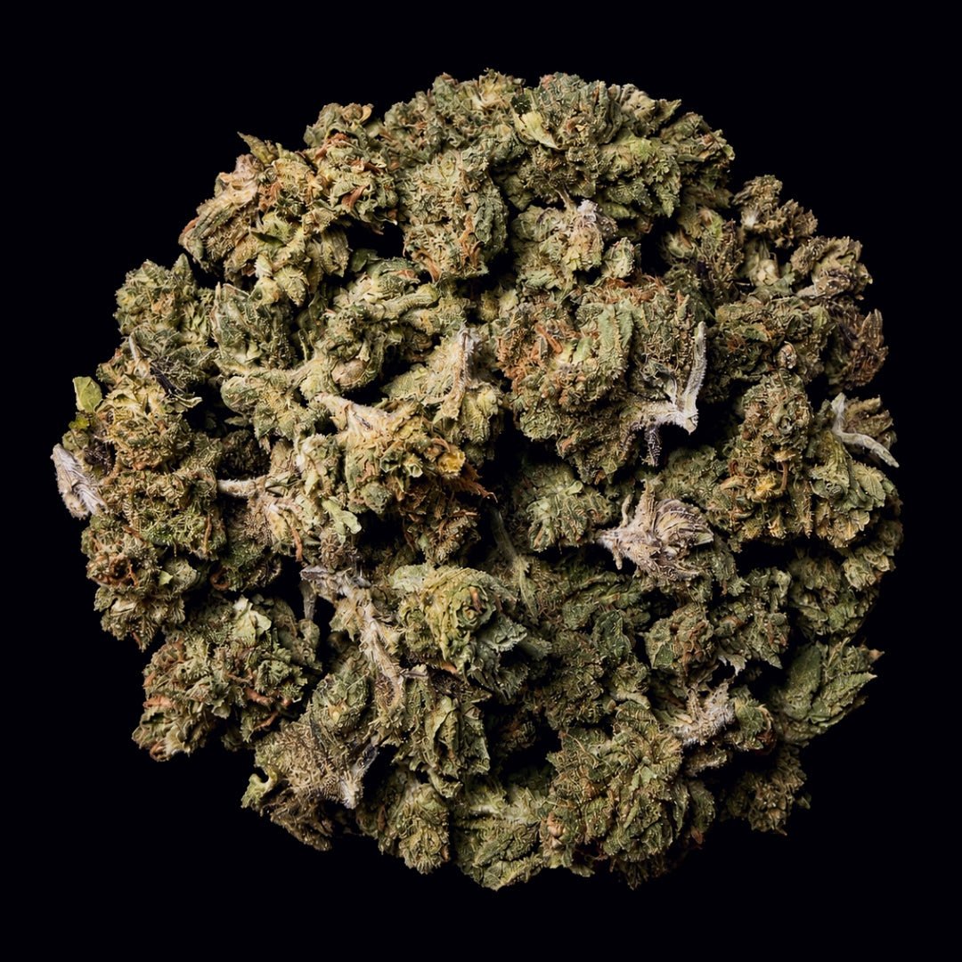 Garlic Sauce THCA Flower - Lost In Translation