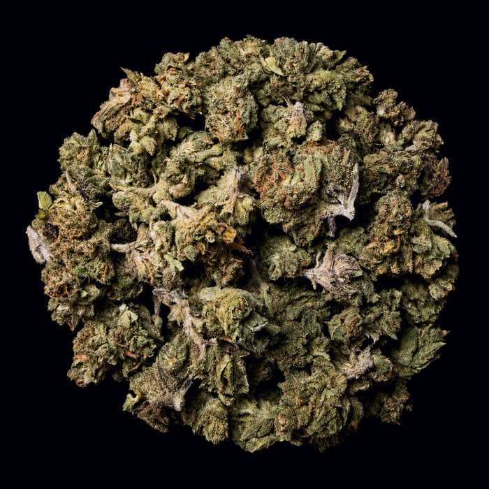 Garlic Sauce THCA Flower