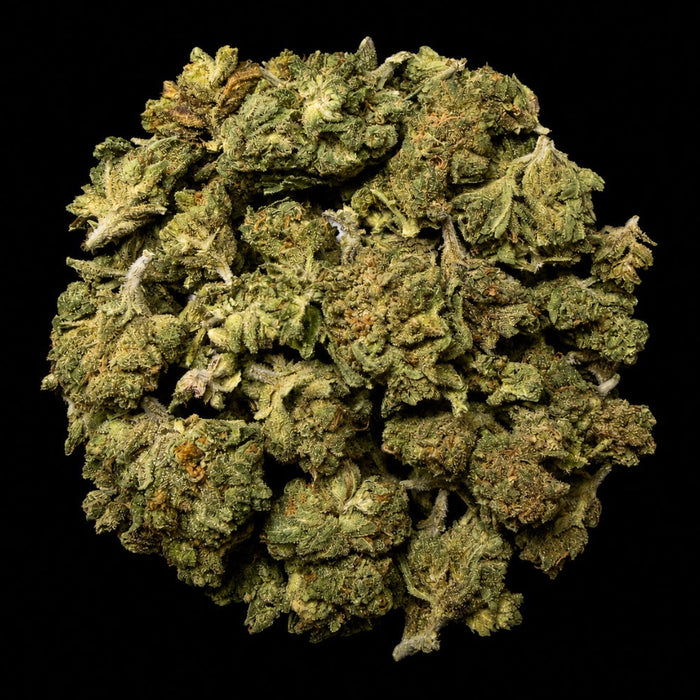 Gumbo THCA Flower