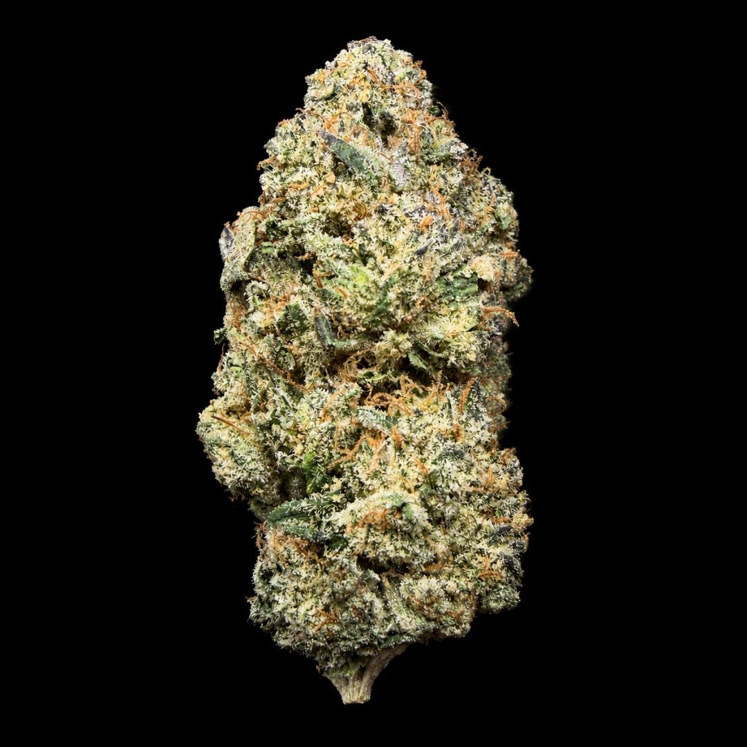 Lemon Cherry Gelato THCA Flower - Lost In Translation
