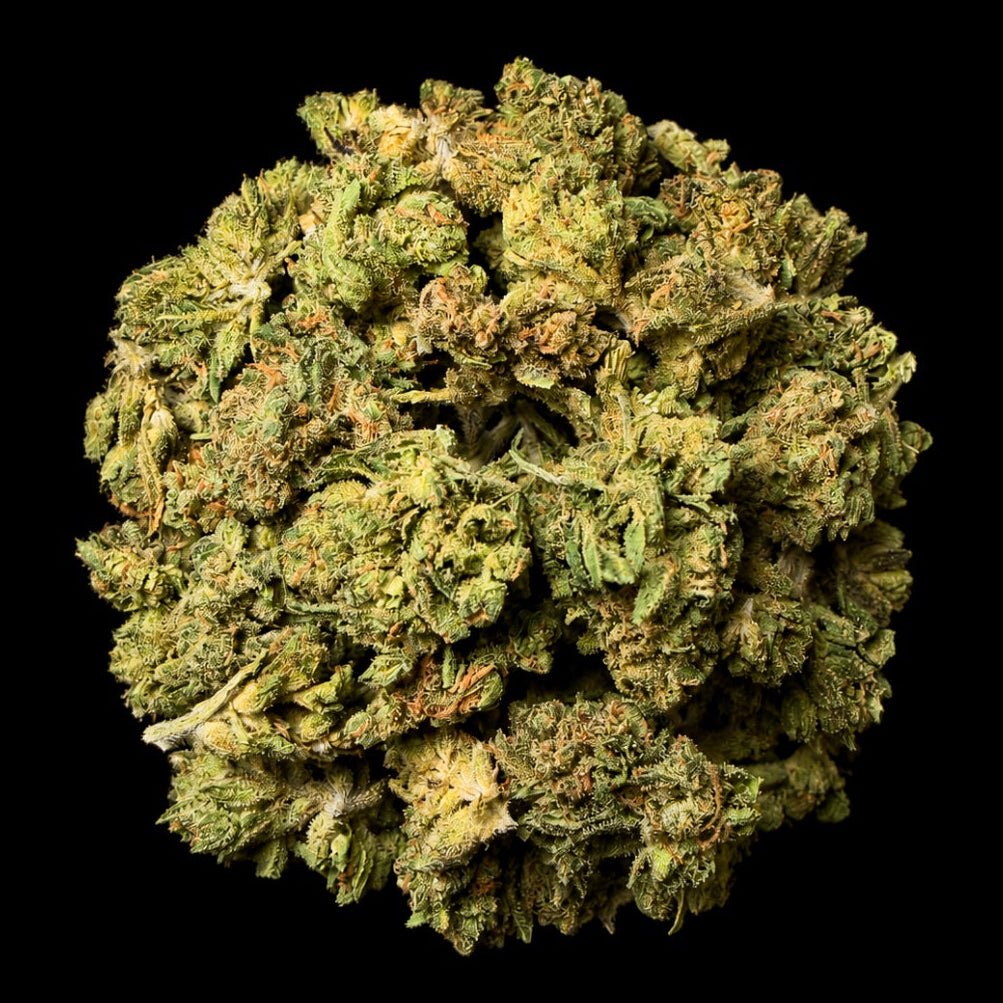 Night Moon THCA Flower - Lost In Translation