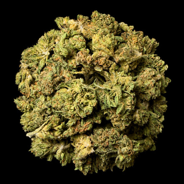 Night Moon THCA Flower