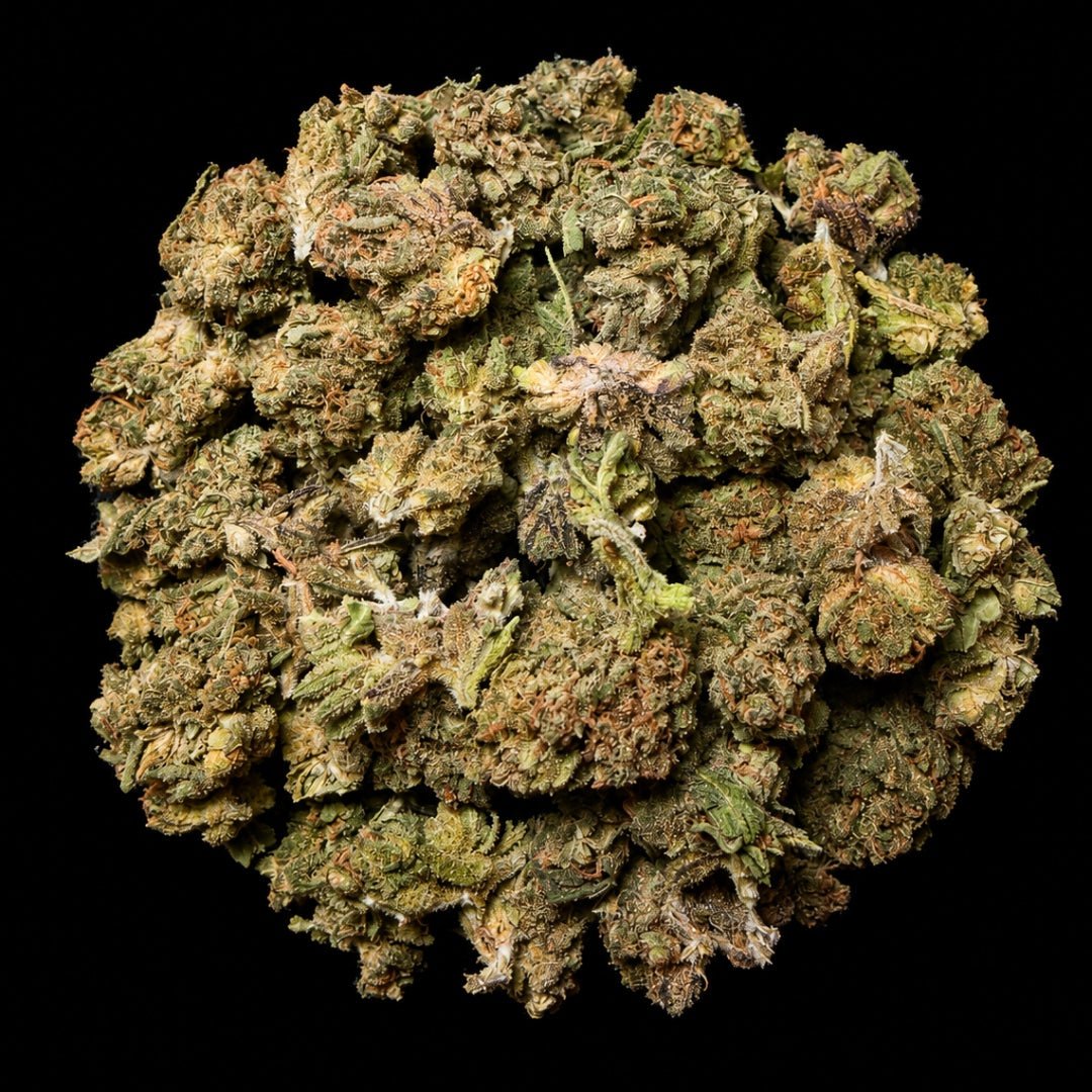 Peanut Butter Breath THCA Flower - Lost In Translation