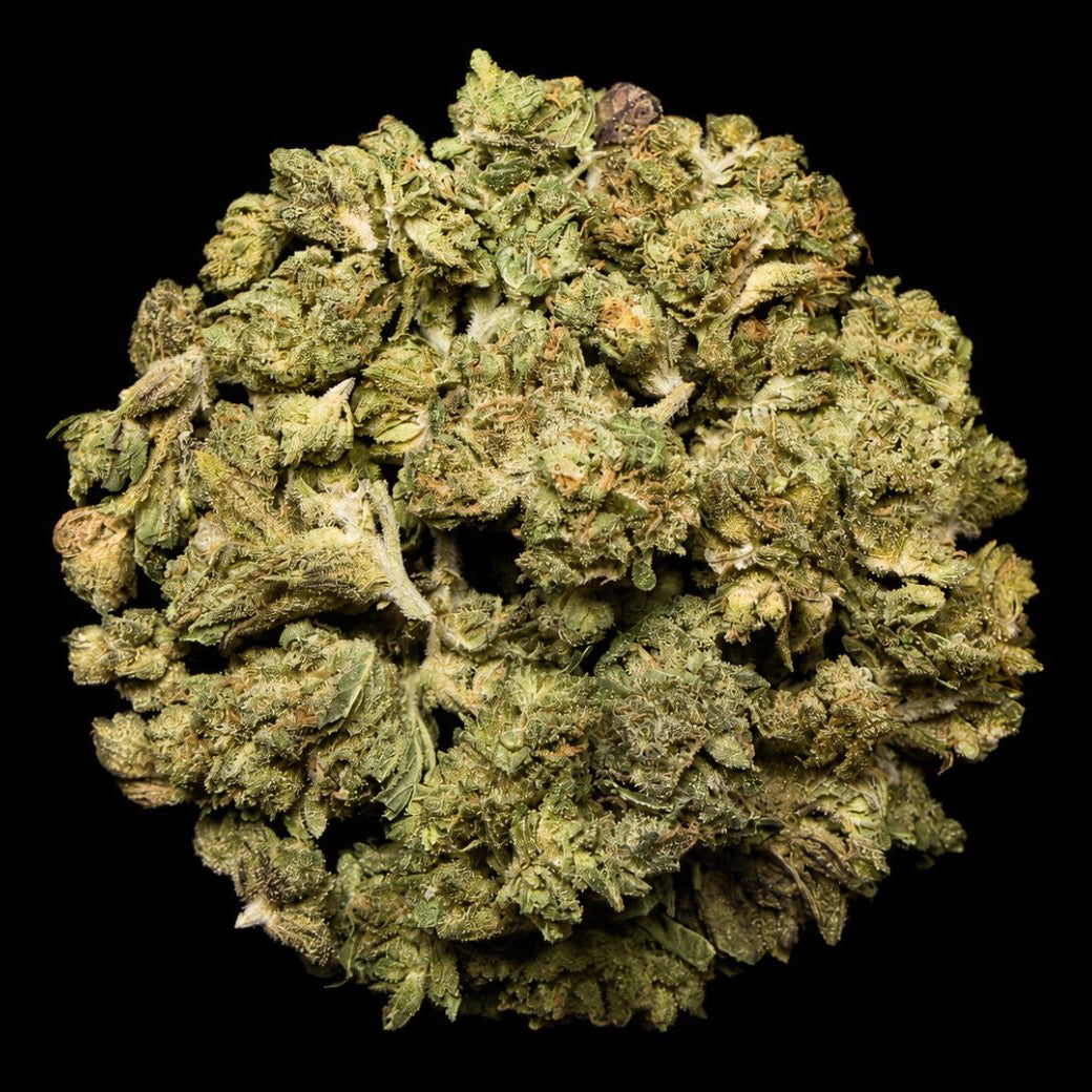 Sherbert THCA Flower - Lost In Translation