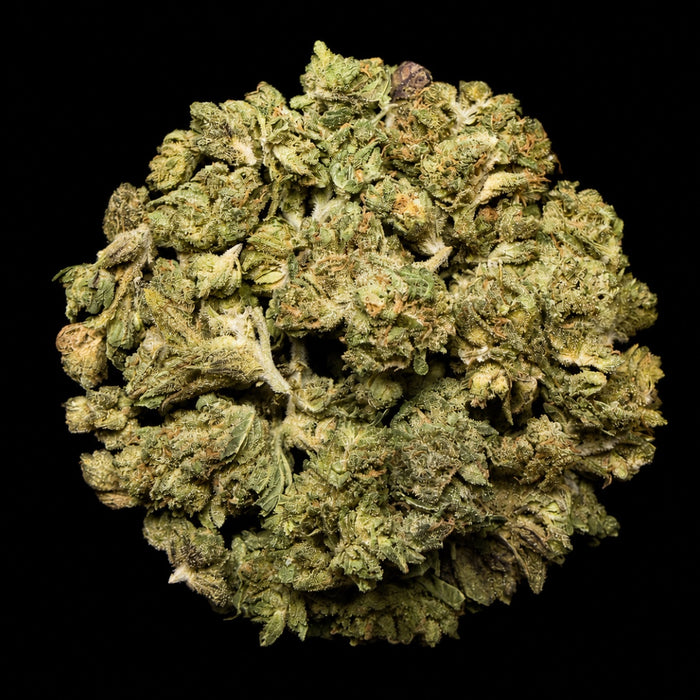 Sherbert THCA Flower