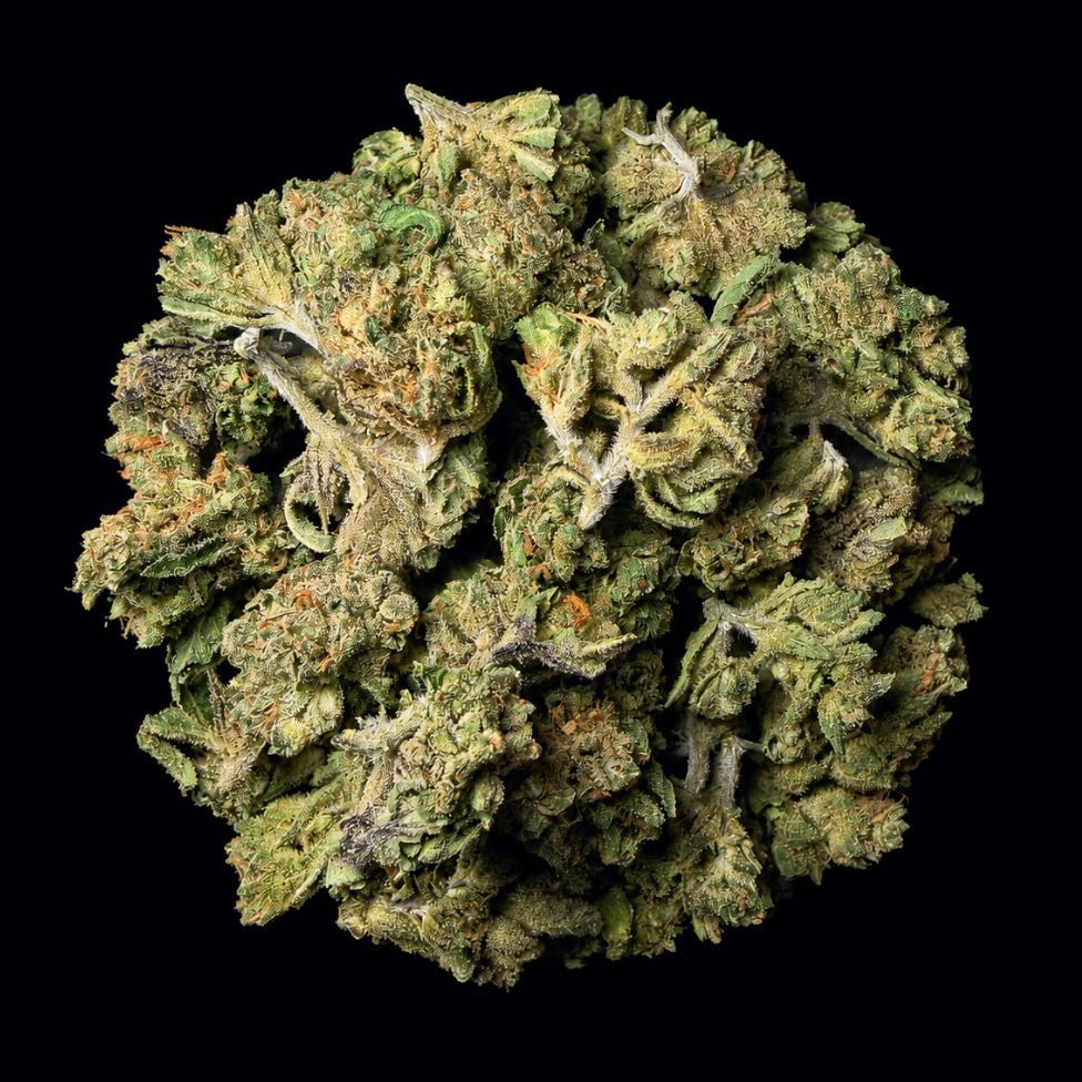 Thin Mint Cookies THCA Flower - Lost In Translation