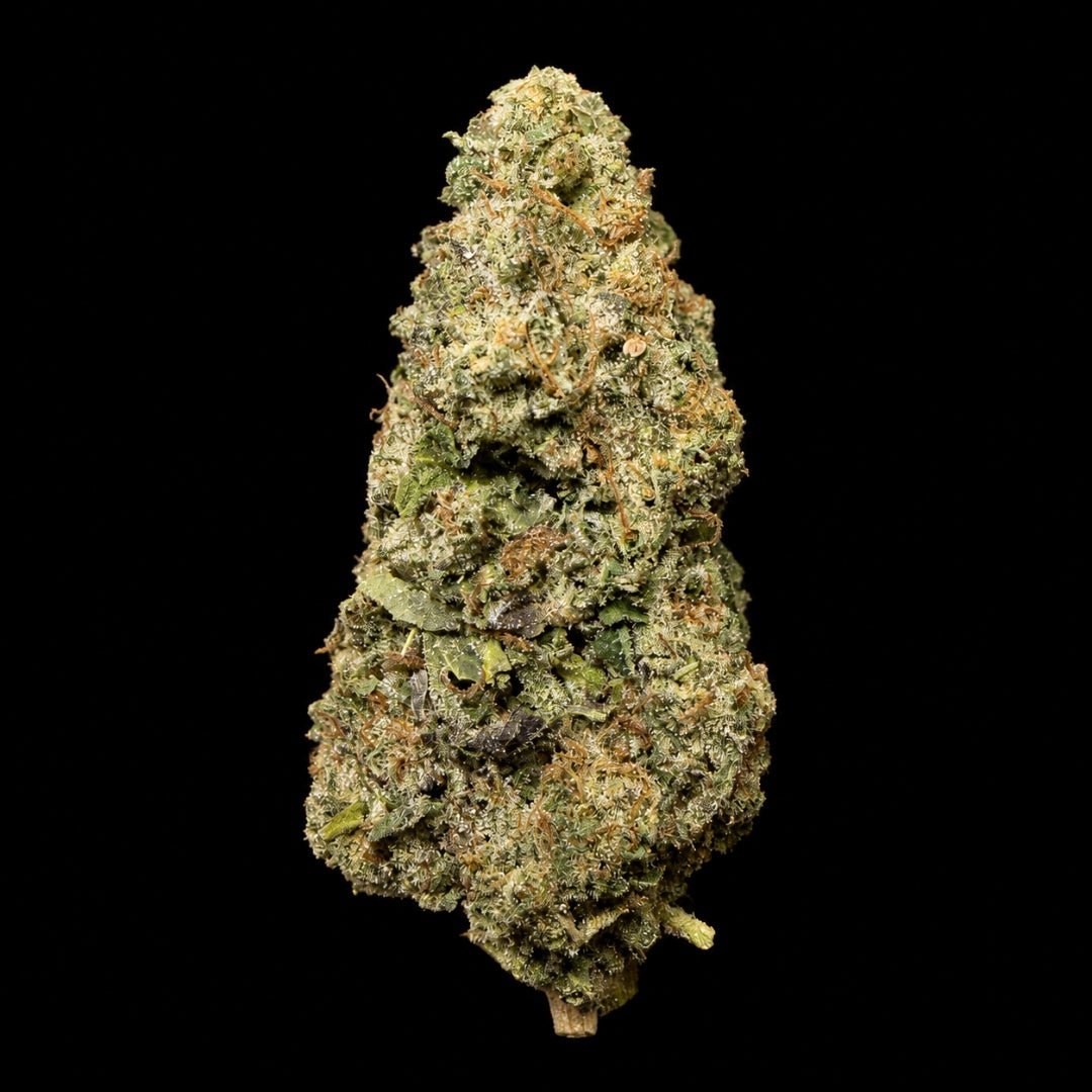 White Gummy THCA Flower - Lost In Translation
