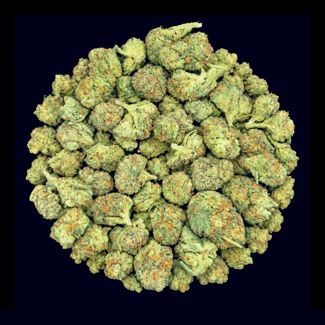 Guava Runtz THCA Flower - Lost In Translation