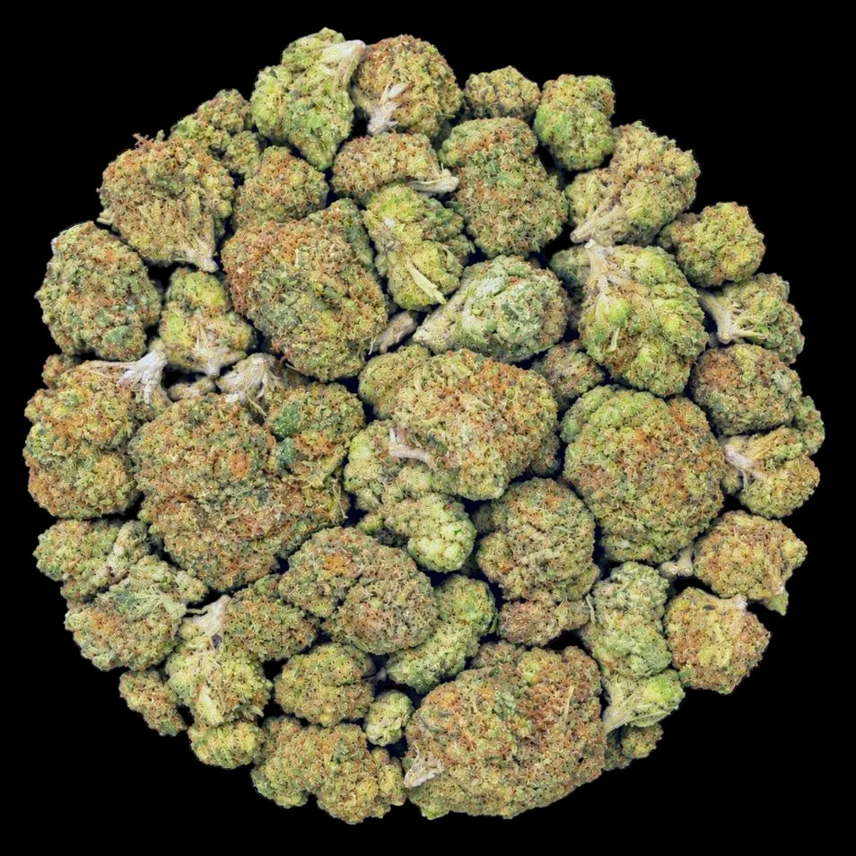 Lemonade THCA Flower - Lost In Translation