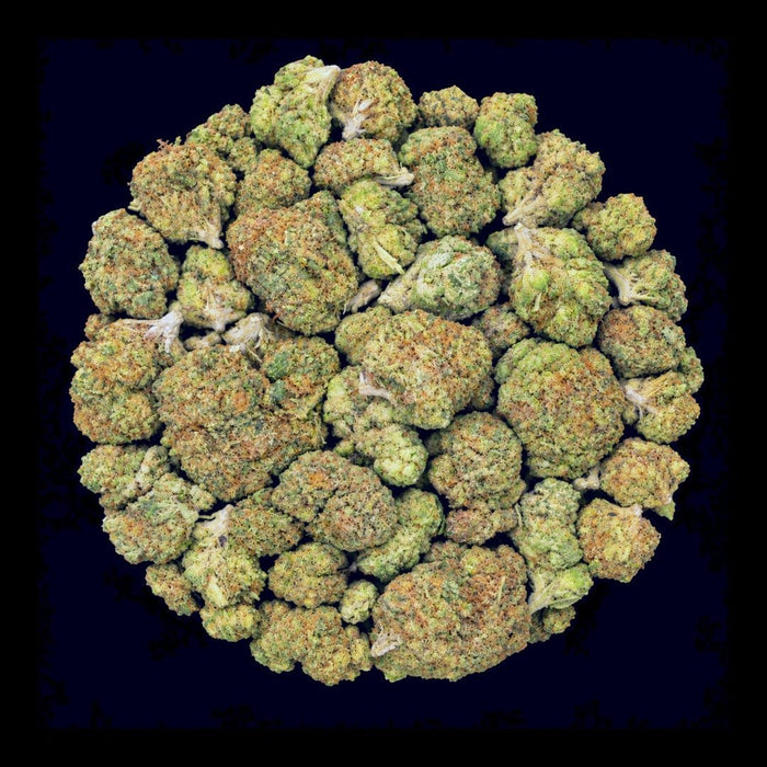 Lemonade THCA Flower