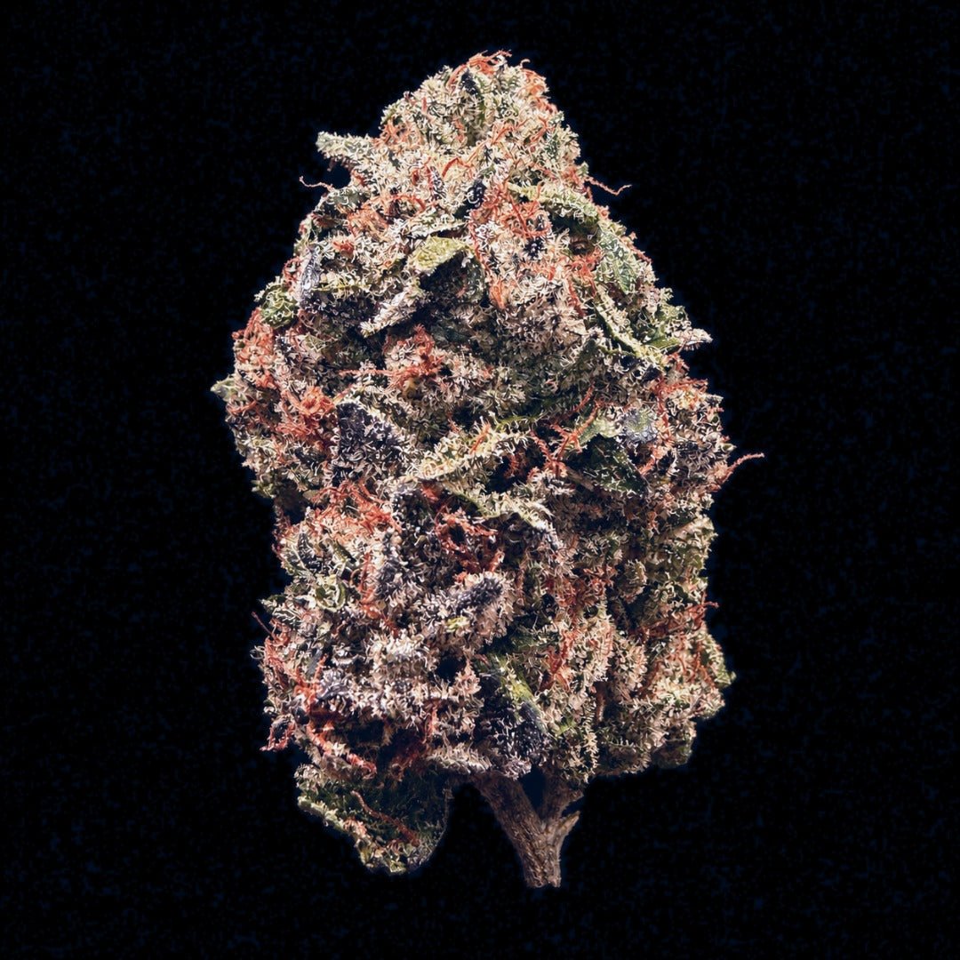 Runtz THCA Flower - Lost In Translation