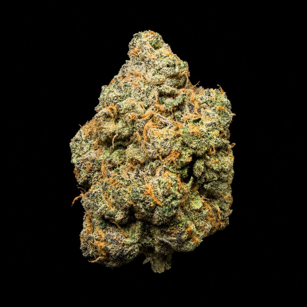 Platinum Cookies THCA Flower - Lost In Translation