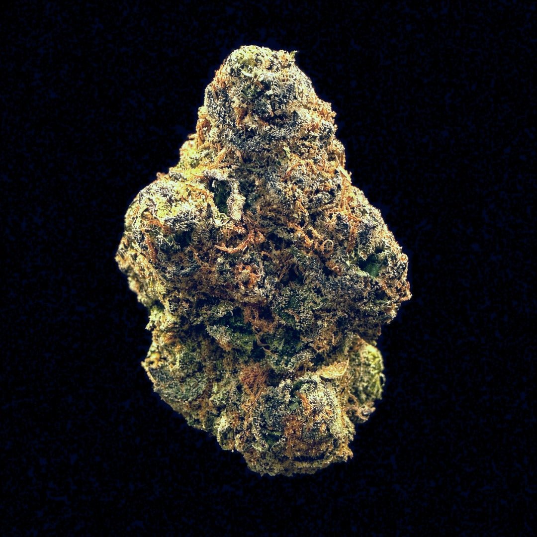 Sherbert THCA Flower - Lost In Translation