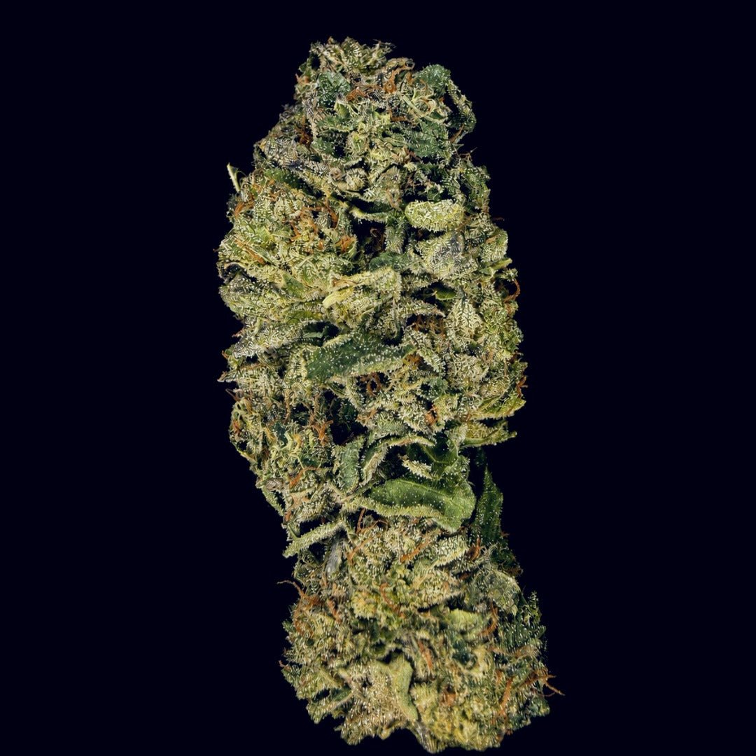 Rainbow Belts THCA Flower - Lost In Translation
