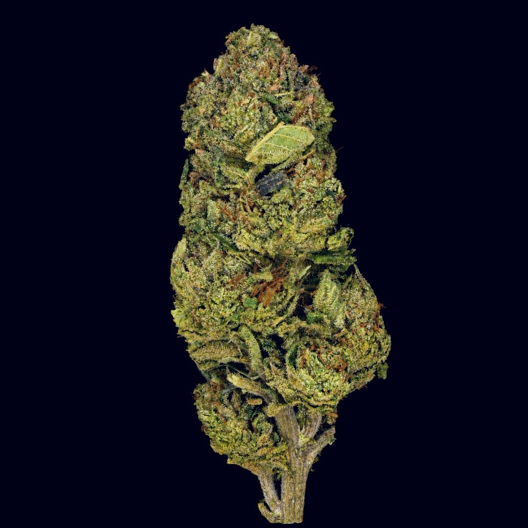 Super Chronic THCA Flower - Lost In Translation