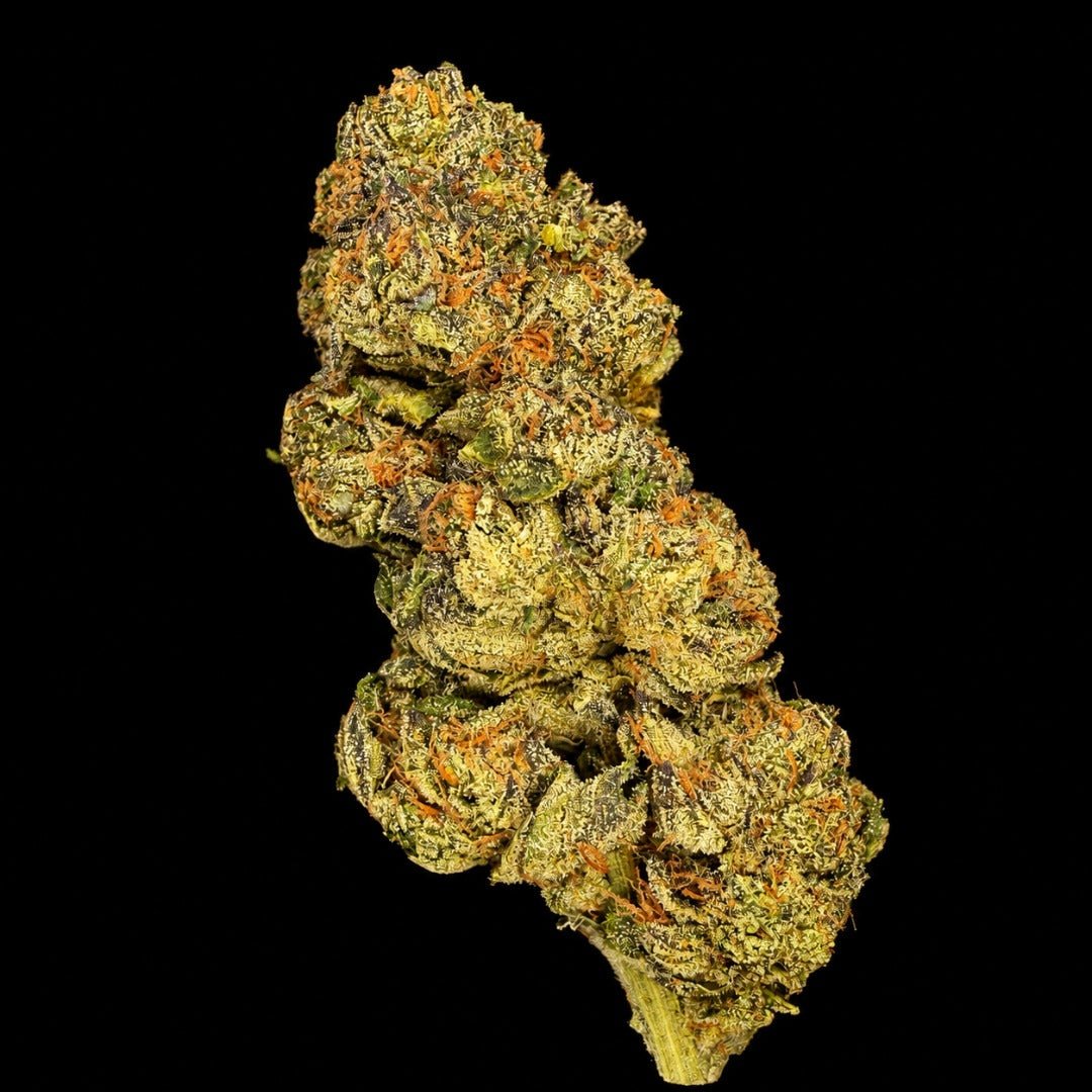 Cheetah Runtz THCA Flower - Lost In Translation
