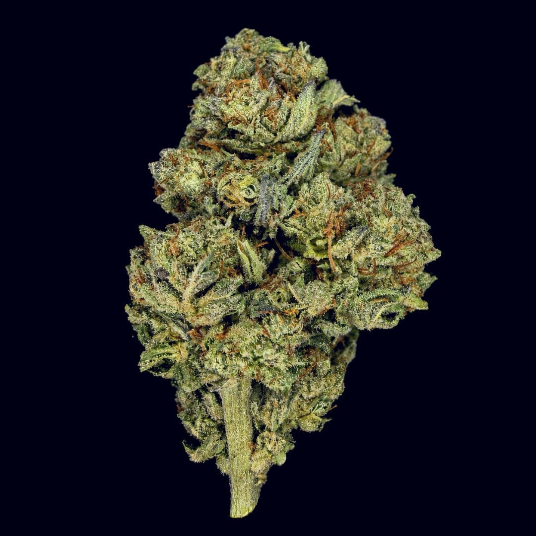 Rocket Fuel THCA Flower - Lost In Translation