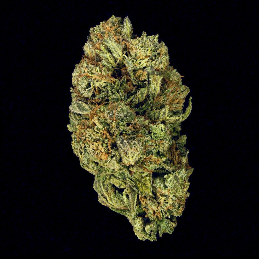 Gas Face THCA Flower - Lost In Translation