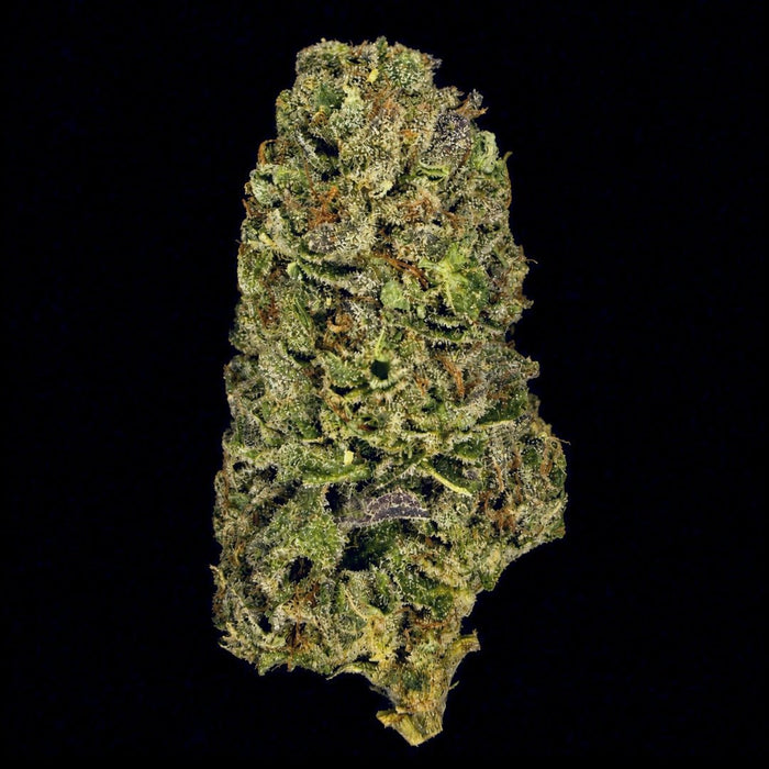 Purple Octane THCA Flower - Lost In Translation